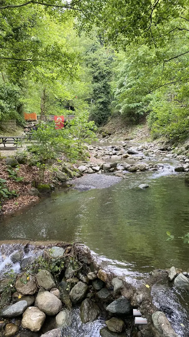 Çatalkaya Vadisi Mesire Alanı — Sakarya — küçük resim 4