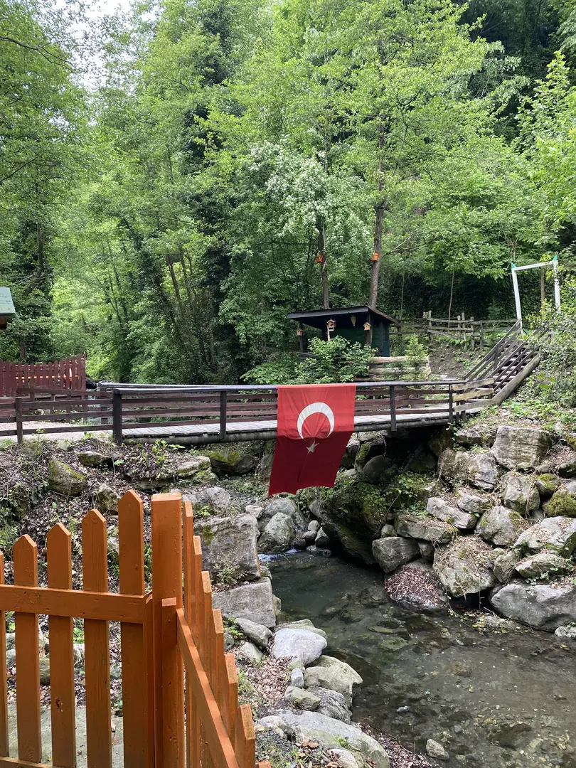 Çatalkaya Vadisi Mesire Alanı — Sakarya — küçük resim 6