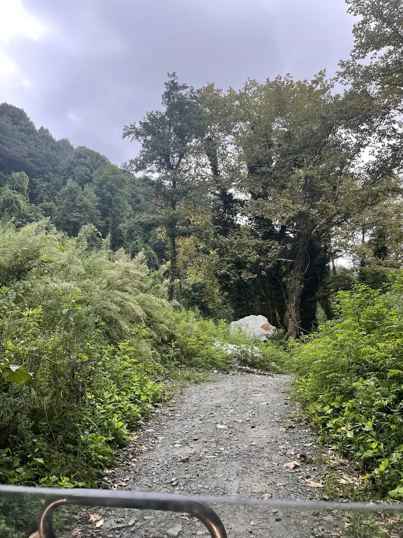 Çatalkaya Vadisi Mesire Alanı — Sakarya — küçük resim 3