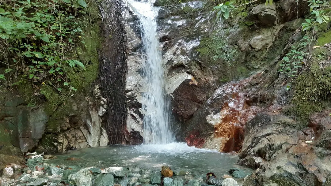 Çatalkaya Vadisi Mesire Alanı — Sakarya — küçük resim 5