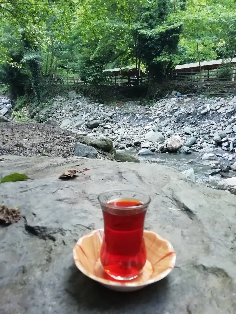 Çatalkaya Vadisi Mesire Alanı — Sakarya — küçük resim 9