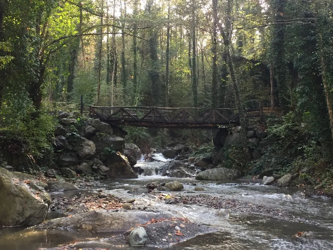 Sapanca