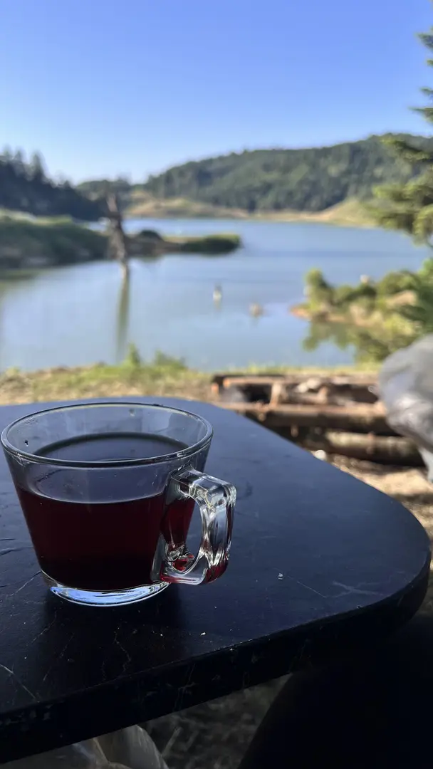 Acelle Yayla Göleti — Sakarya — küçük resim 10