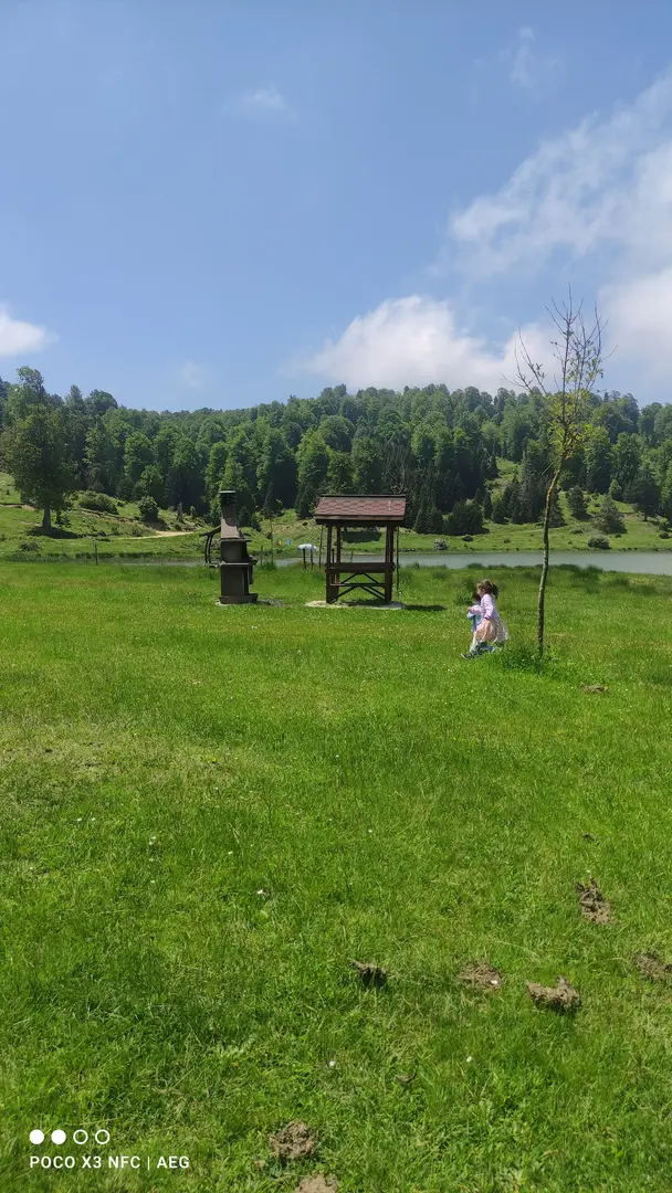 Acelle Yayla Göleti — Sakarya — küçük resim 5