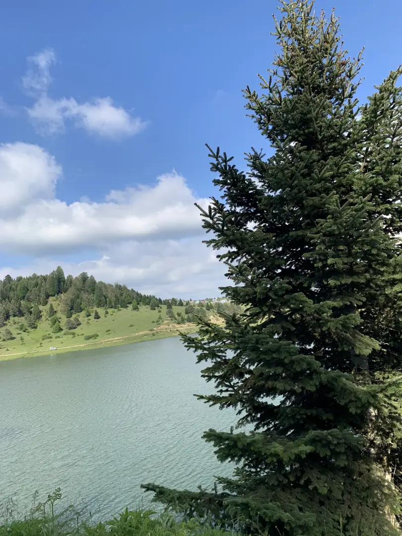 Acelle Yayla Göleti — Sakarya — küçük resim 7