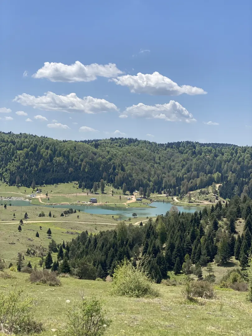 Acelle Yayla Göleti — Sakarya — küçük resim 6