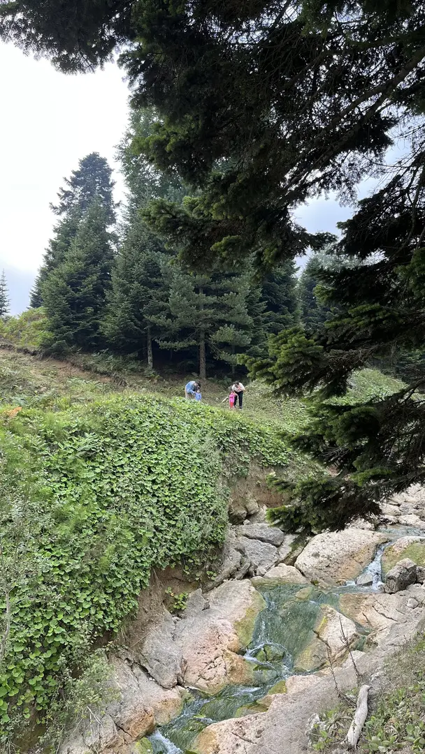 Acelle Yayla Göleti — Sakarya — küçük resim 9