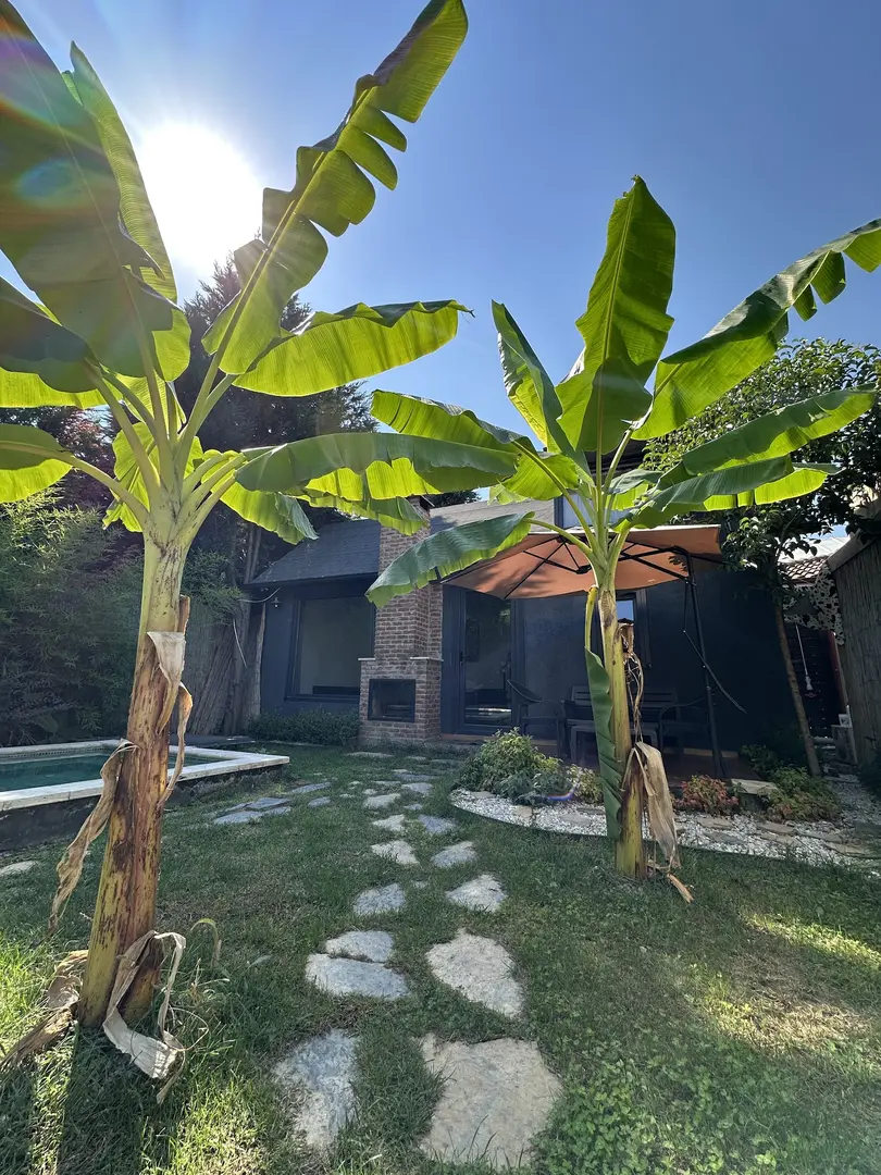 Sapanca Bungalov Evleri - sapancadabungalov.com — Sakarya — küçük resim 7