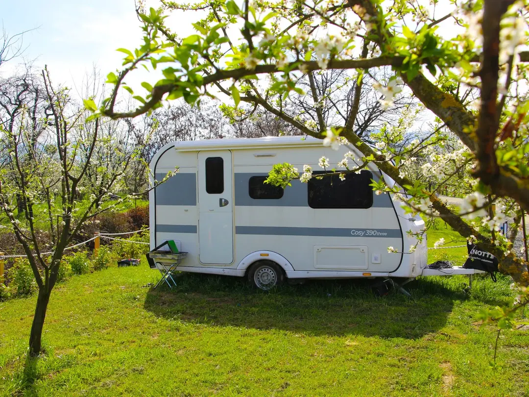 Caravan Life Sapanca — Sakarya — küçük resim 6