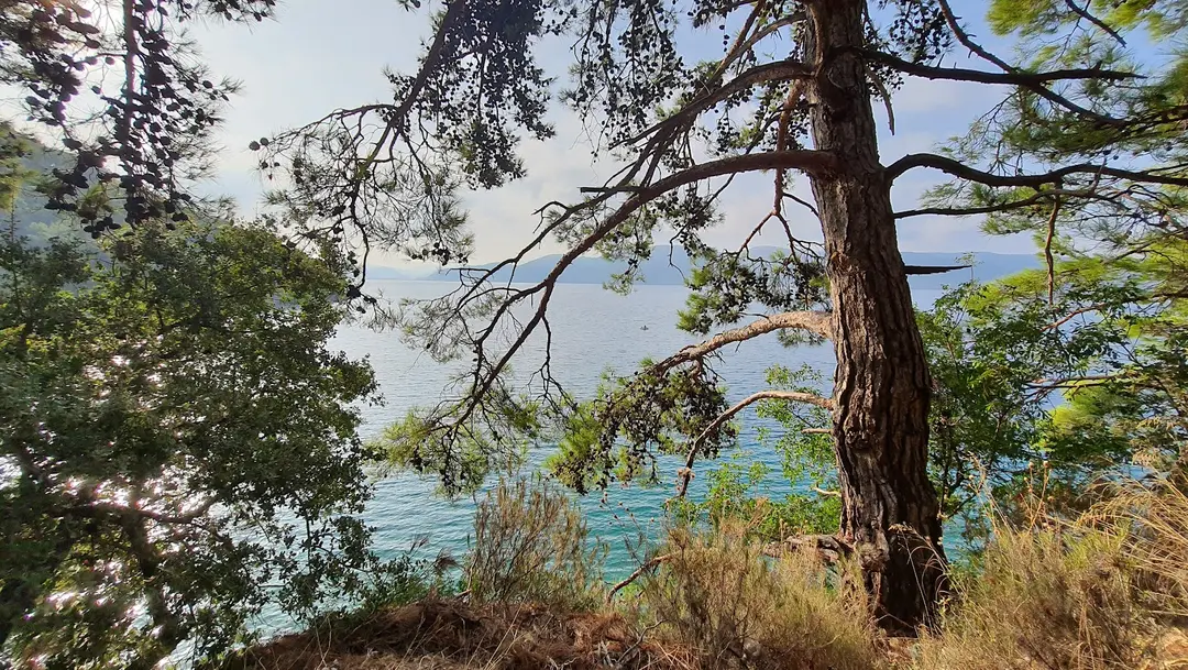 Lovers Cove Beach — Muğla — küçük resim 5