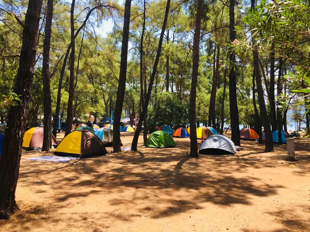 Çubucak Forest Camp — Muğla — küçük resim 4