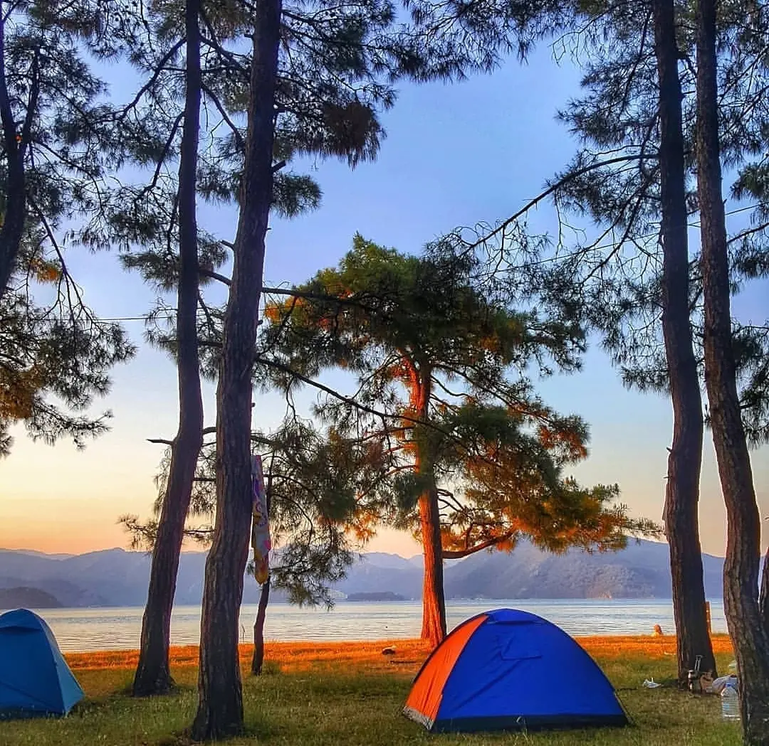 Çubucak Forest Camp — Muğla — küçük resim 7