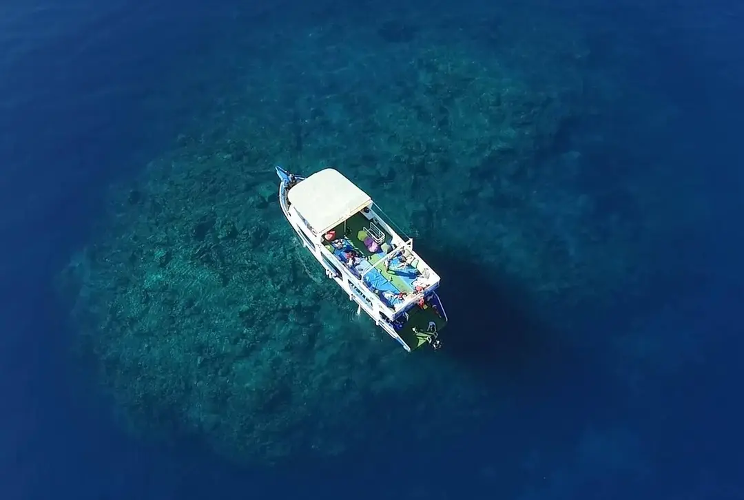 Bodrum Camping — Muğla — küçük resim 5