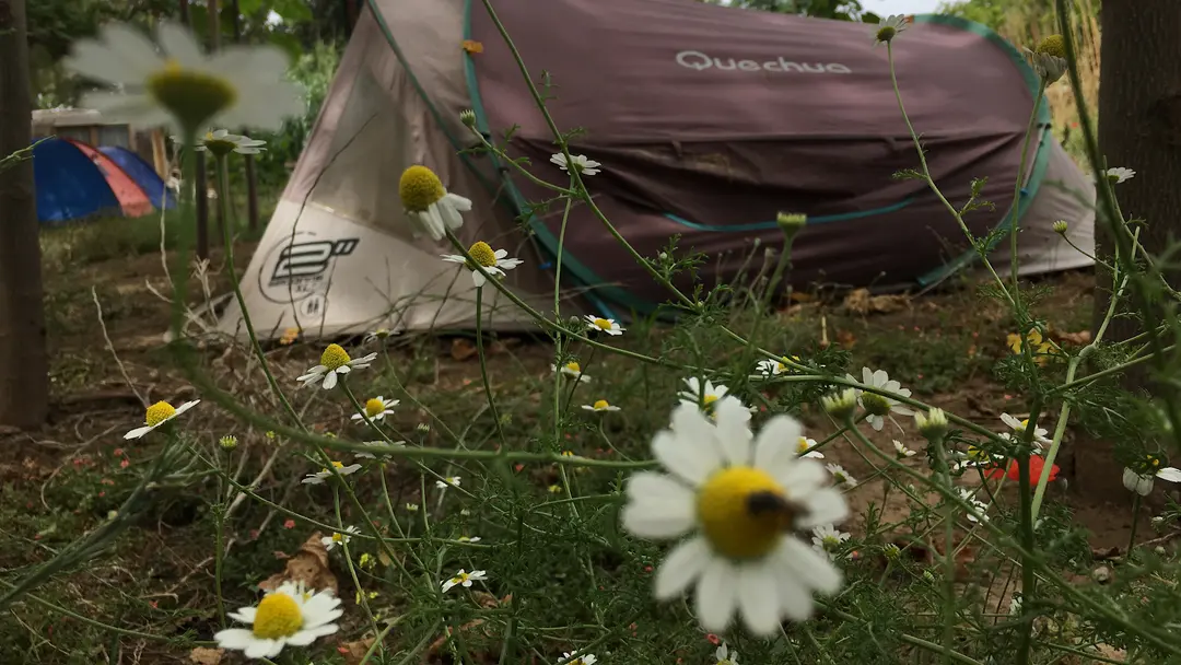 Bodrum Camping — Muğla — küçük resim 3