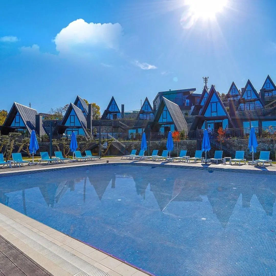 World Dreams Forest | Sapanca Bungalov — Sakarya — küçük resim 8