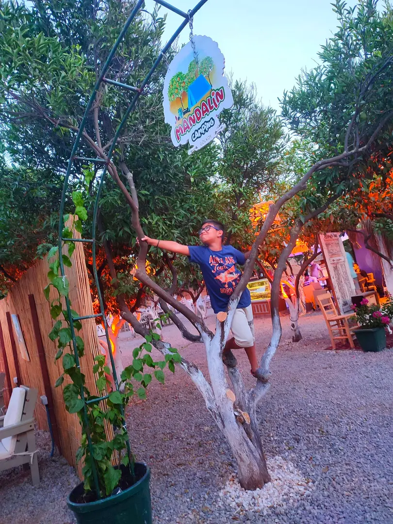 Mandalin Camping — Muğla — küçük resim 5