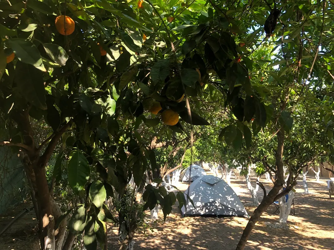 Mandalin Camping — Muğla — küçük resim 7