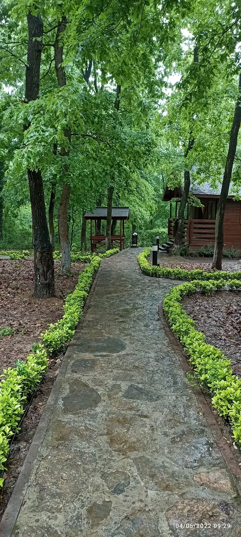 Sakarya Il Forest Nature Park Cabins — Sakarya — küçük resim 5
