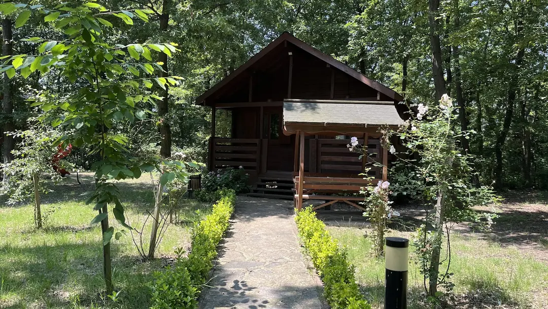 Sakarya İl Ormanı Tabiat parkı konakları