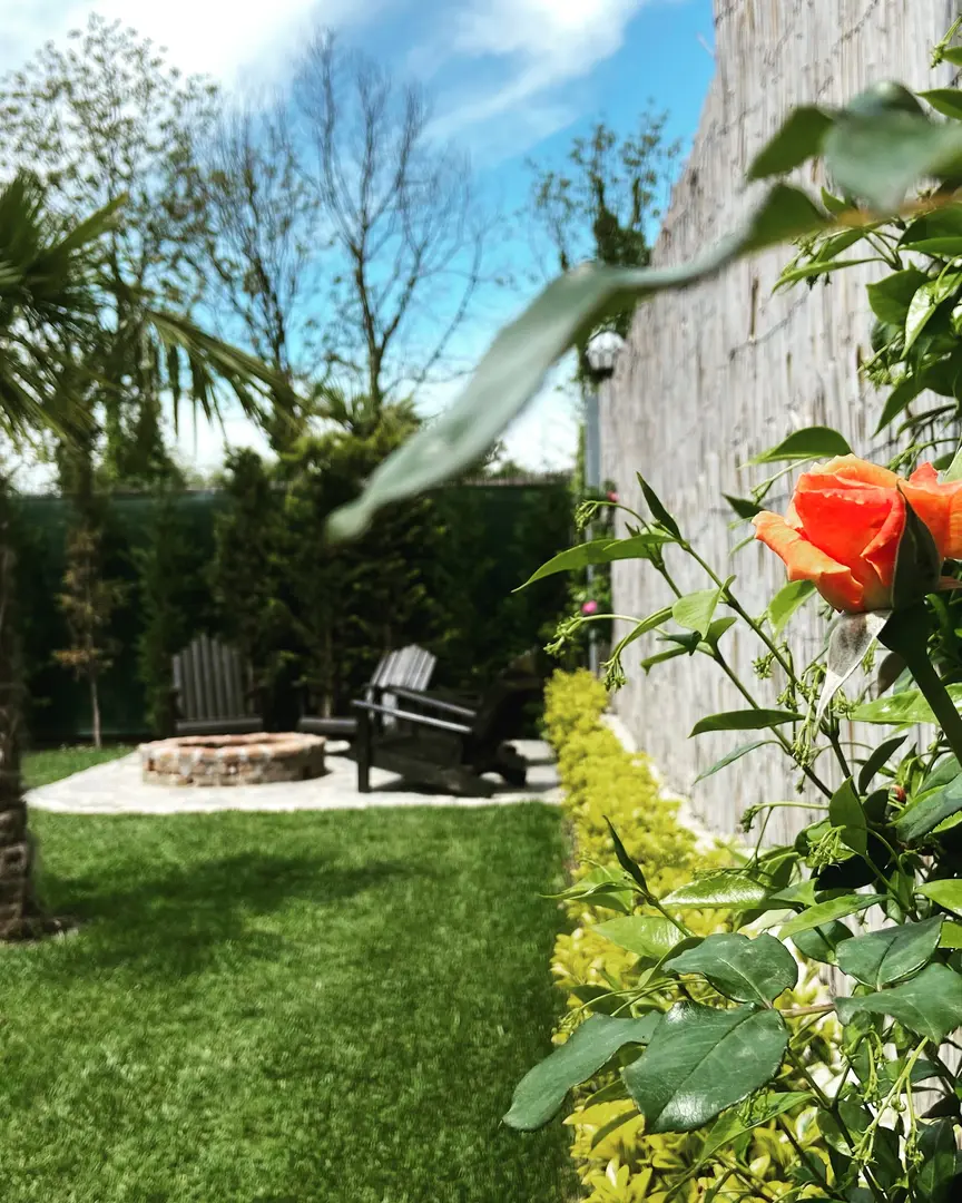 MOLA SAPANCA BUNGALOV — Sakarya — küçük resim 7