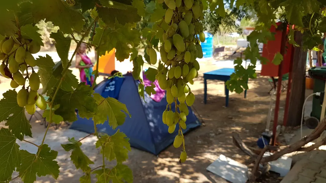 Dostlar camping — Muğla — küçük resim 6