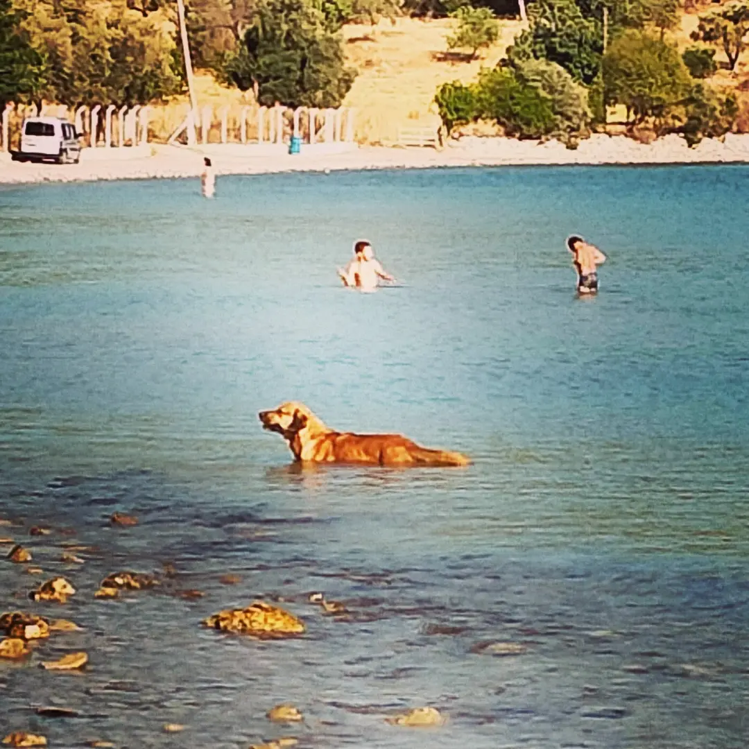 Dostlar camping — Muğla — küçük resim 7