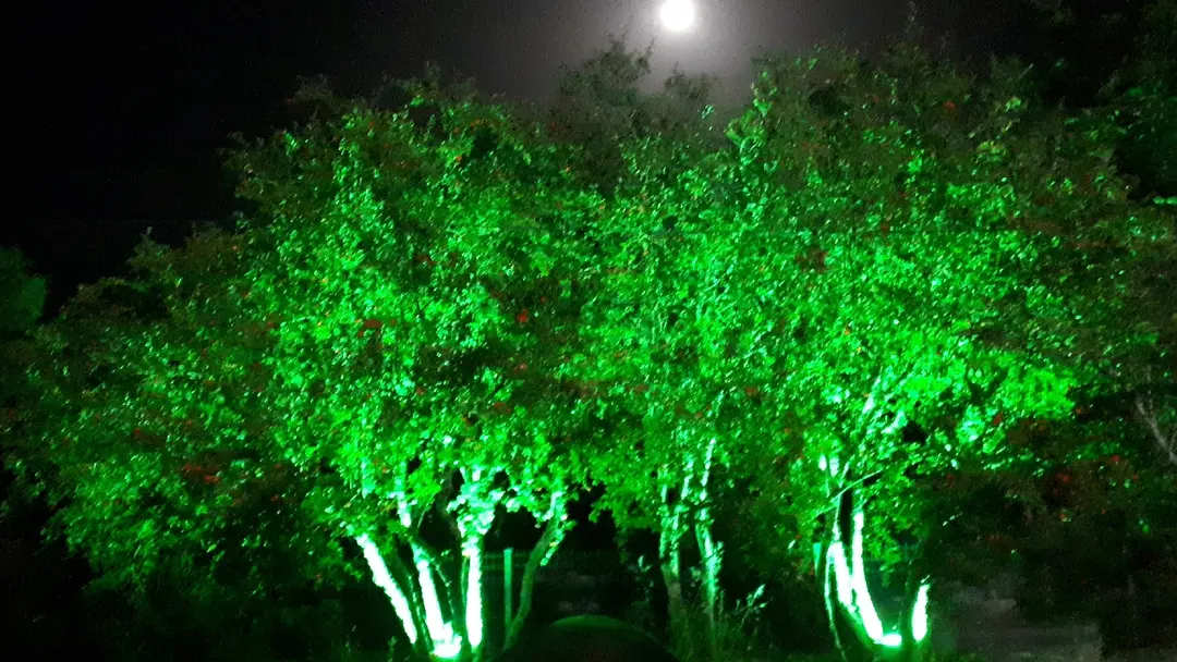 Dostlar camping — Muğla — küçük resim 5