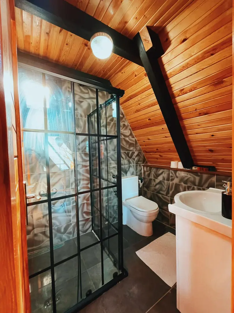 Sapanca Astral Suit Bungalov — Sakarya — küçük resim 4