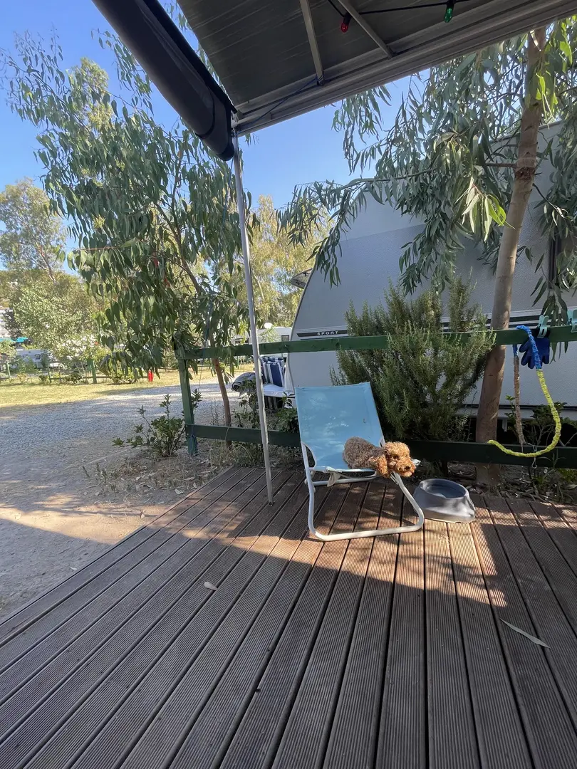 Star Karavan BODRUM / Cüce Camping — Muğla — küçük resim 4