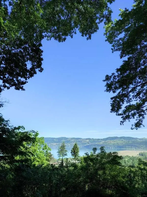 İl Orman Mesire Yeri — Sakarya — küçük resim 5