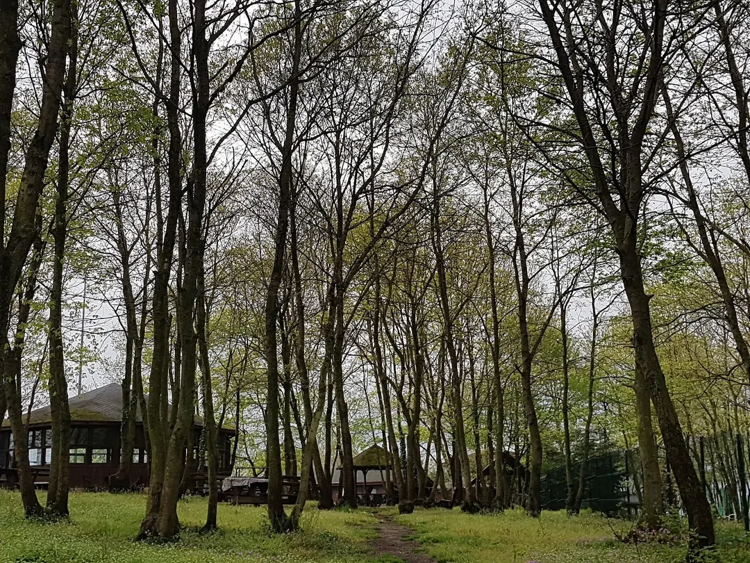 Sakarya Kent Ormanı — Sakarya — küçük resim 7