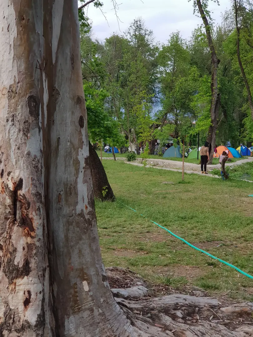 Köyceğiz Camping — Muğla — küçük resim 8