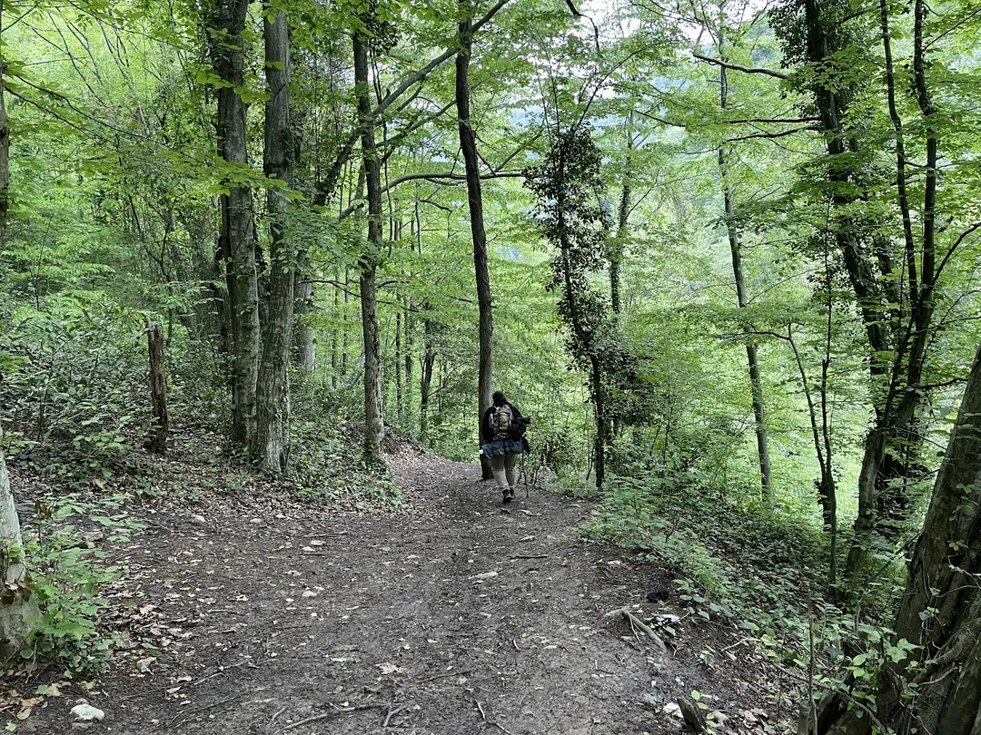 Doğançay Şelalesi — Sakarya — küçük resim 3