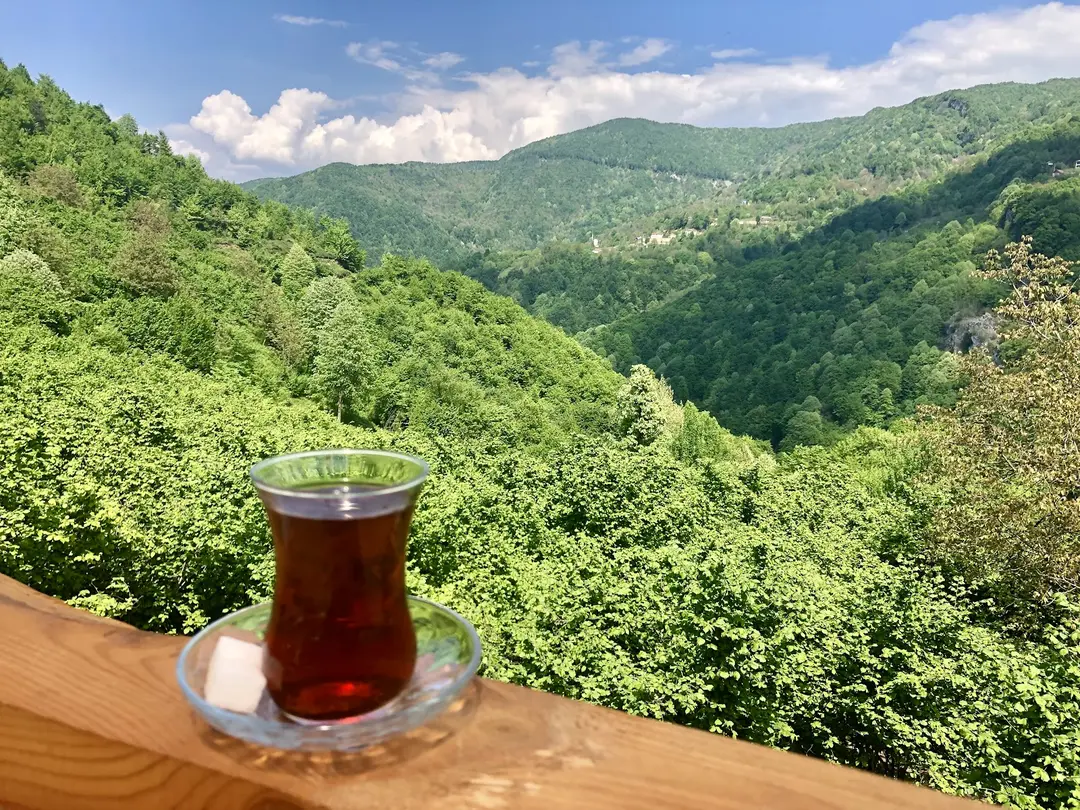 Doğançay Şelalesi — Sakarya — küçük resim 9