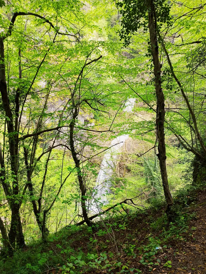 Doğançay Şelalesi — Sakarya — küçük resim 10