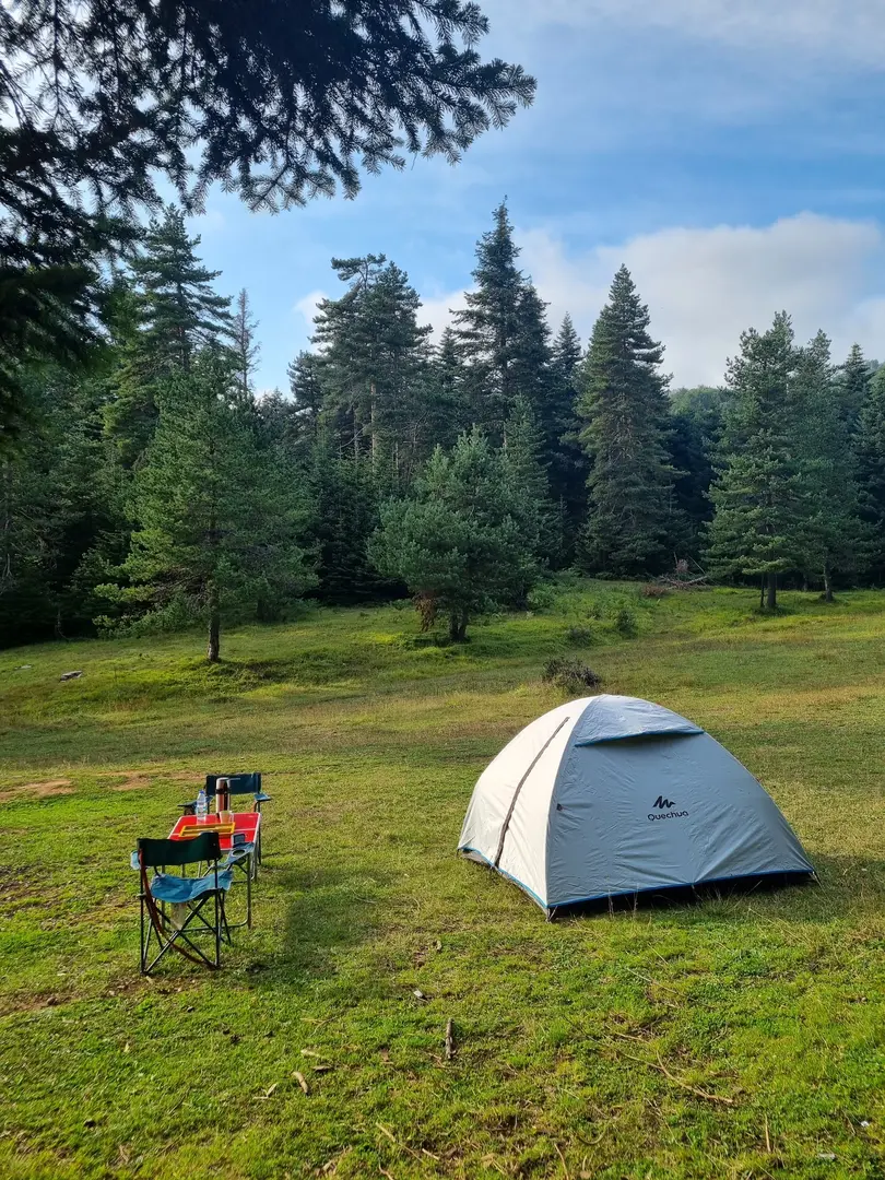 ERCOVA YAYLASI — Sakarya — küçük resim 3
