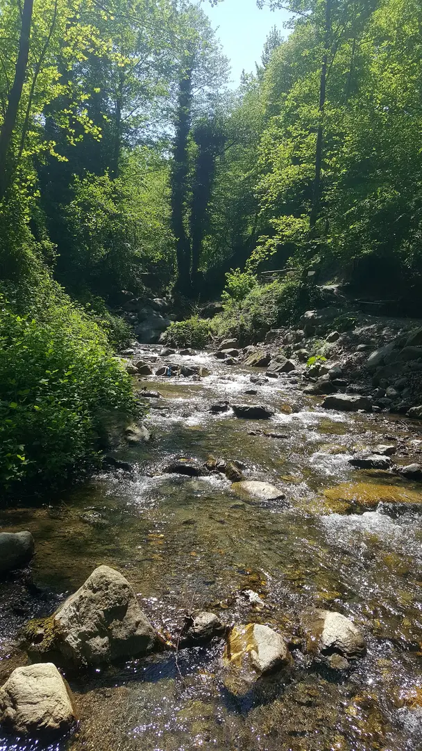Rauf’ un Yeri & Vadi Sapanca — Sakarya — fotoğraf 1