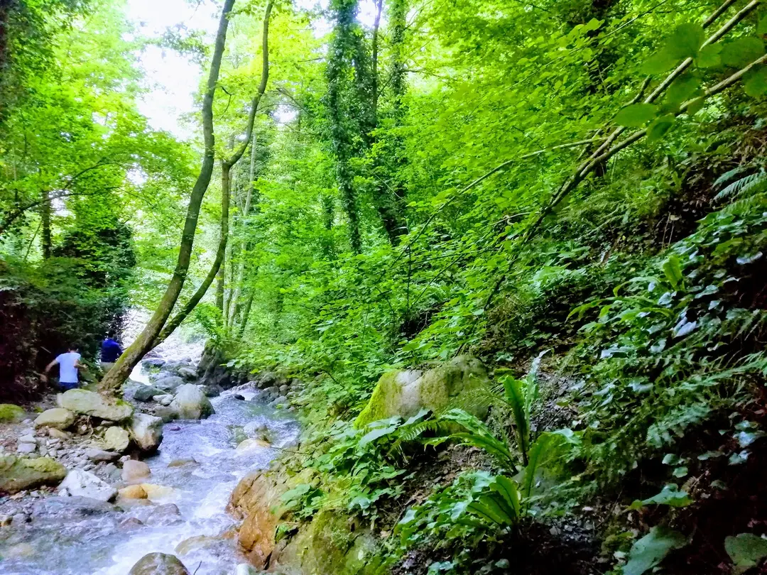 Rauf’ un Yeri & Vadi Sapanca — Sakarya — küçük resim 7