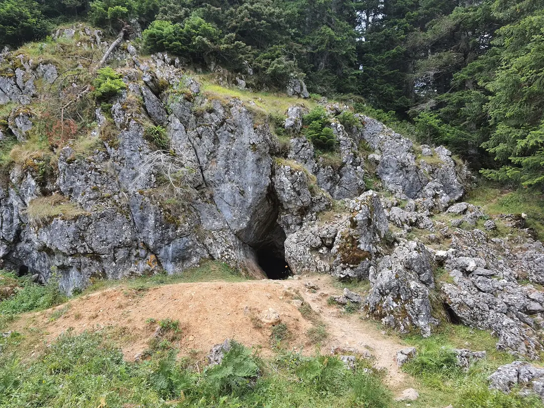 İnönü Yaylası sakarya pamukova — Kocaeli — küçük resim 4