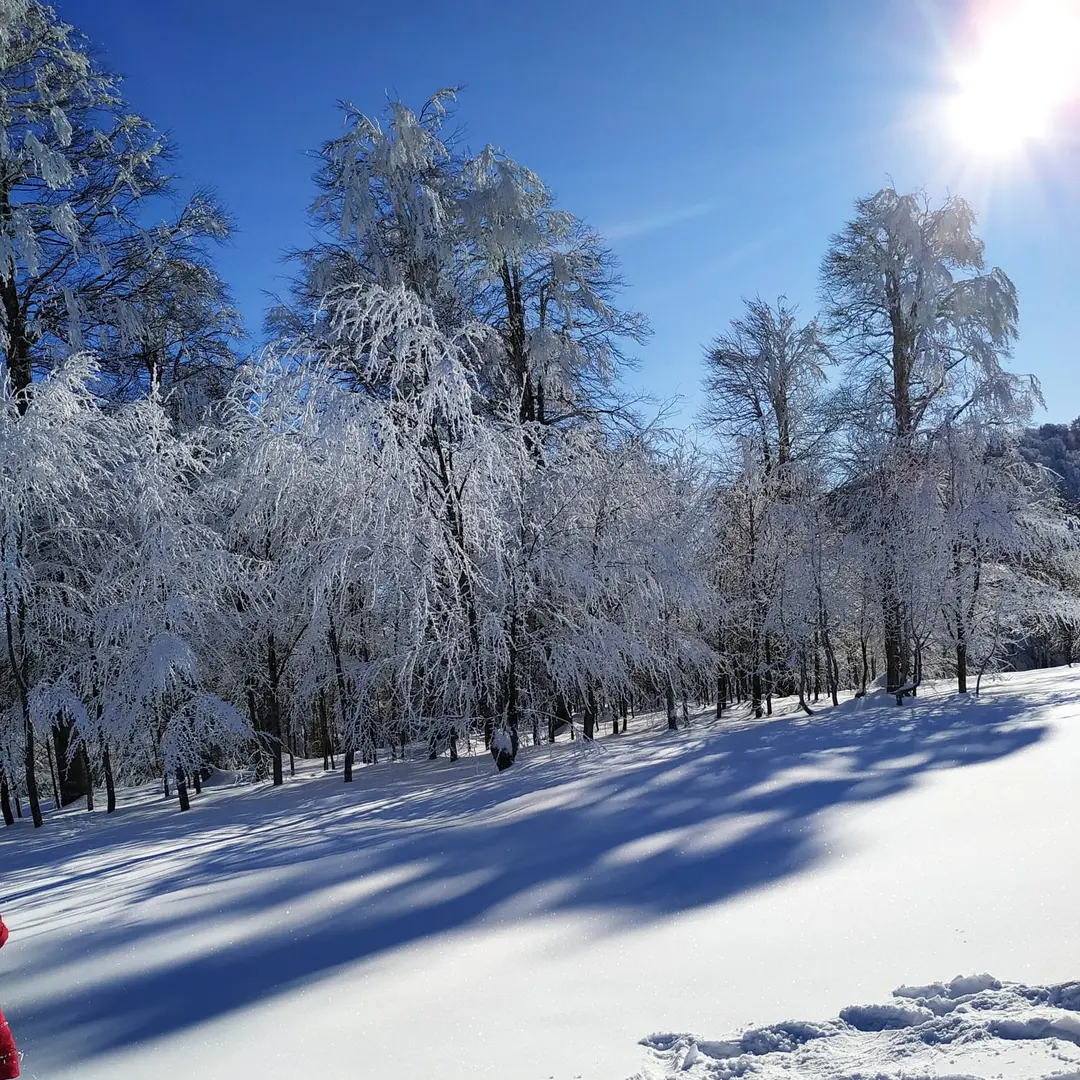 Kuzuyayla Tabiat Parkı — Kocaeli — küçük resim 2