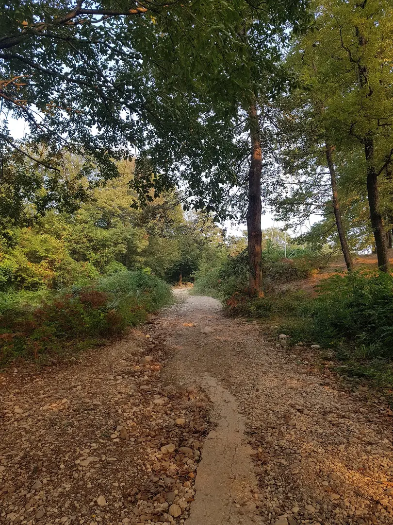 Kuzuluk Tabiat Parkı — Sakarya — küçük resim 6