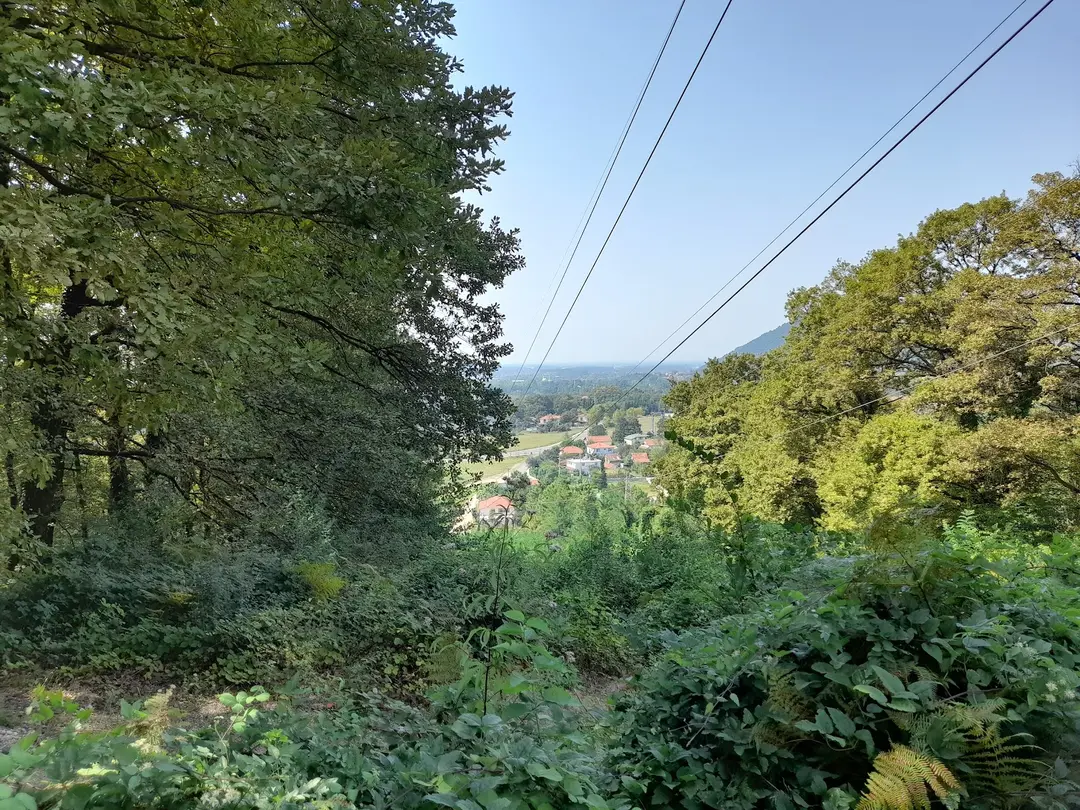 Kuzuluk Tabiat Parkı — Sakarya — küçük resim 5