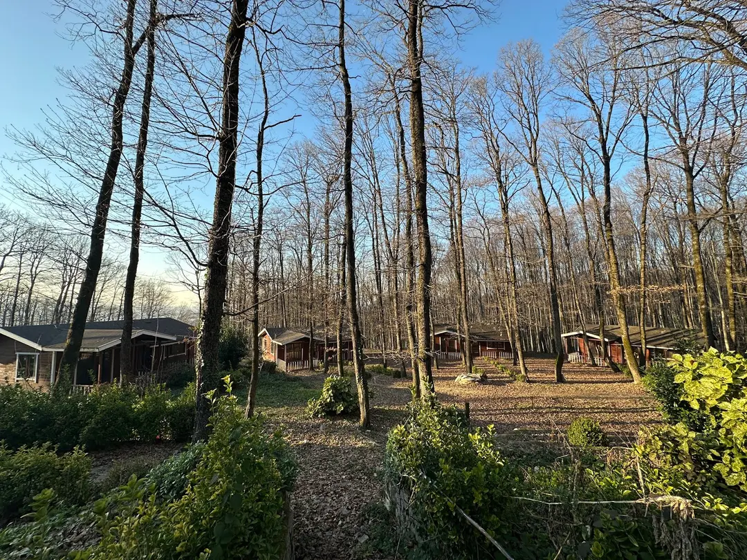 Kuzuluk Tabiat Parkı — Sakarya — küçük resim 7