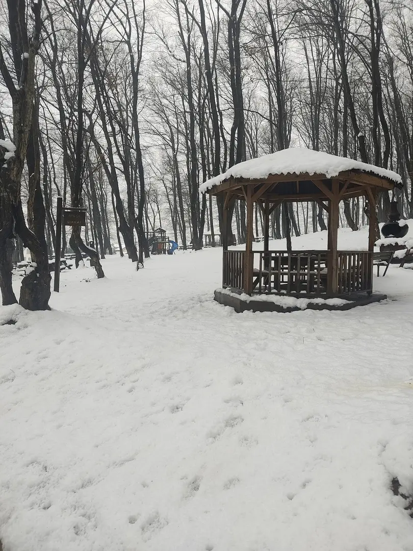 Kuzuluk Tabiat Parkı — Sakarya — küçük resim 9