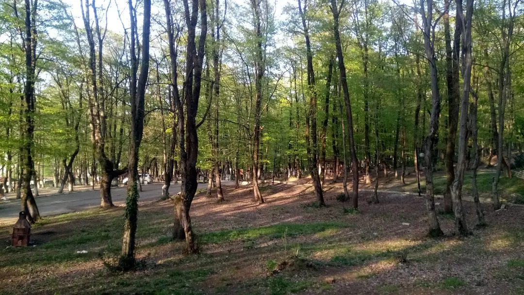 Kuzuluk Tabiat Parkı