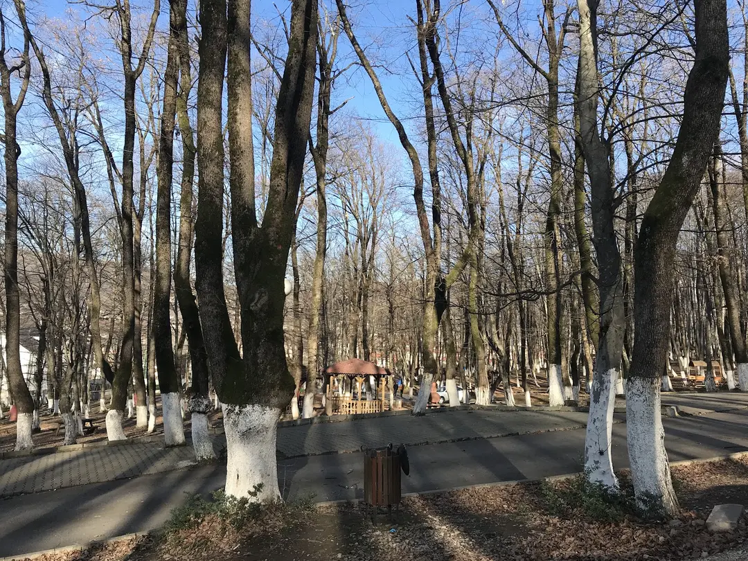 Kuzuluk Tabiat Parkı — Sakarya — küçük resim 2