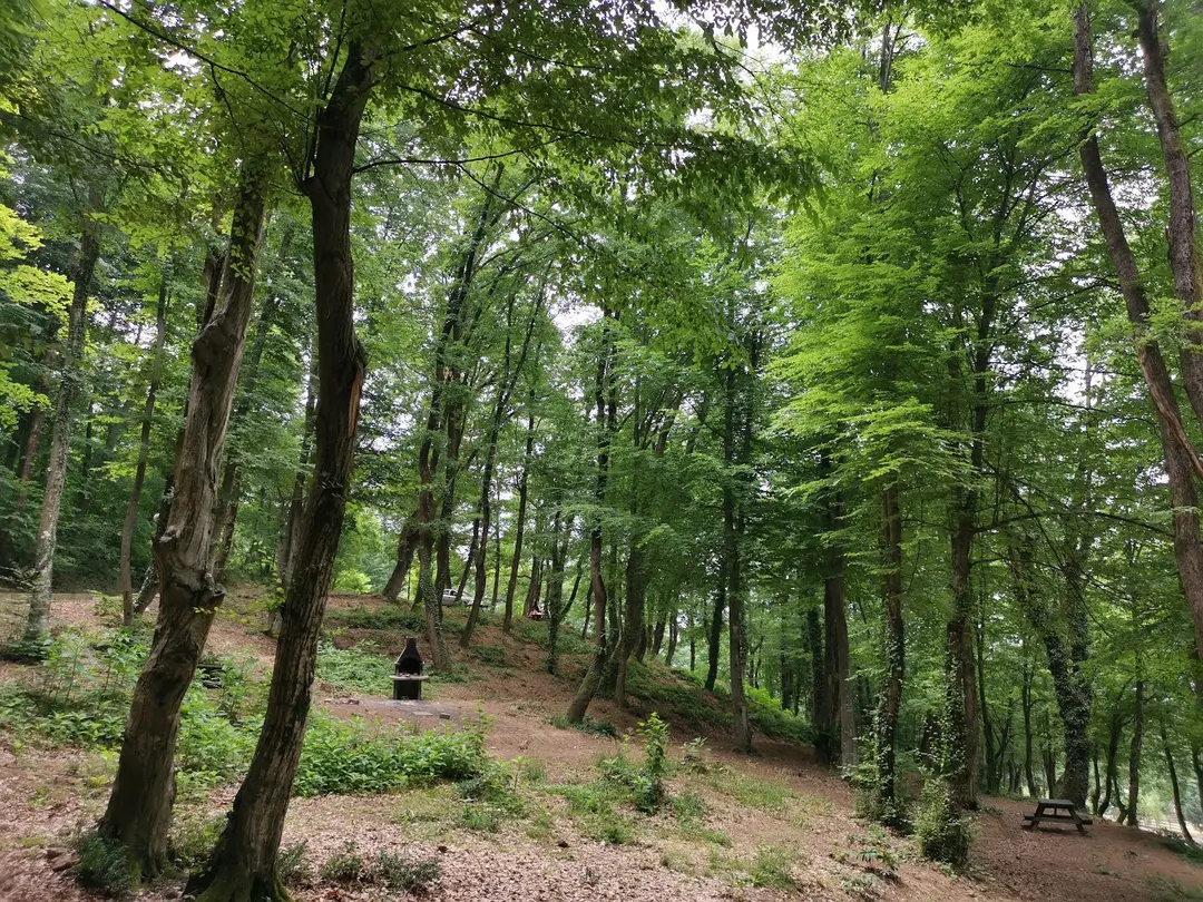 Kuzuluk Tabiat Parkı — Sakarya — küçük resim 3