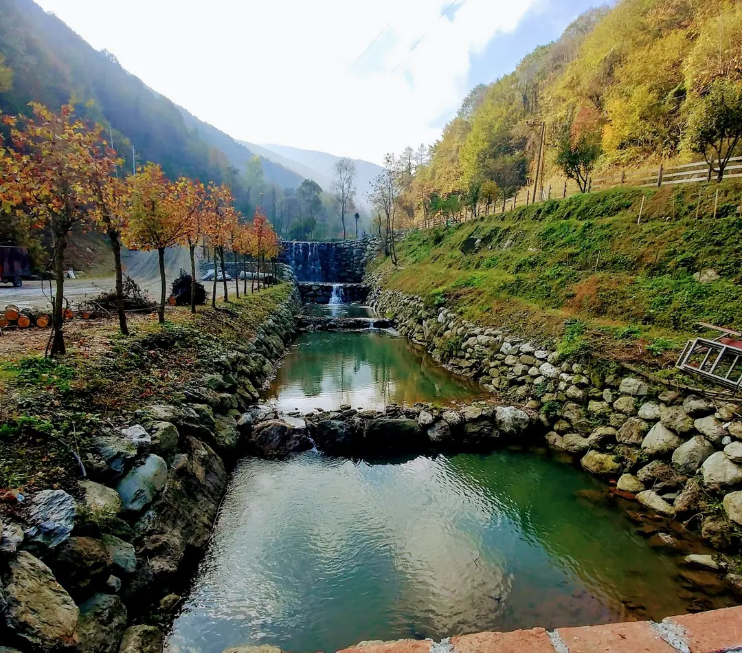Sopeli Doğal Yaşam Köyü — Sakarya — küçük resim 6