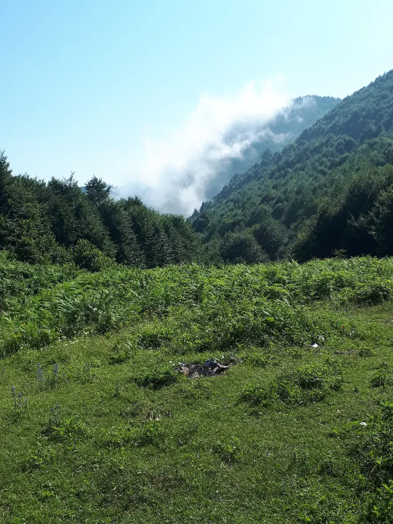 Suadiye Tabiat Parkı — Kocaeli — küçük resim 5
