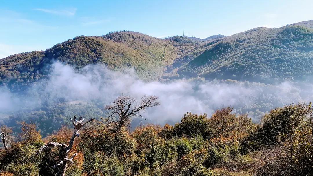 Suadiye Tabiat Parkı — Kocaeli — küçük resim 4